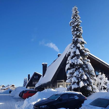 Ferienhaus-Schoenwald Im Herzen Des Schwarzwaldes 1Zimmer Wohnung Mit Terrasse App17 Luaran gambar