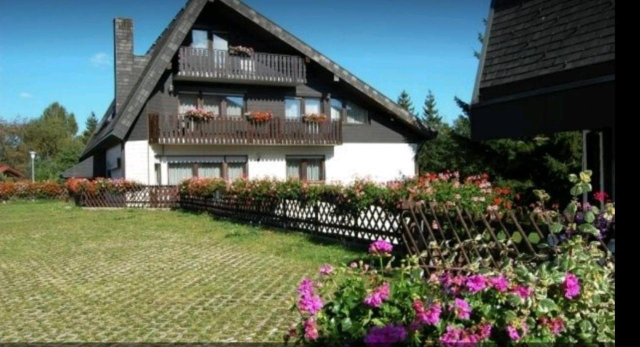Ferienhaus-Schoenwald Im Herzen Des Schwarzwaldes 1Zimmer Wohnung Mit Terrasse App17 Luaran gambar