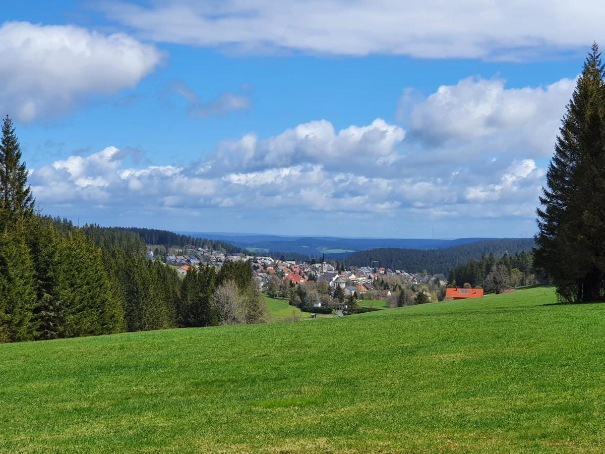 Ferienhaus-Schoenwald Im Herzen Des Schwarzwaldes 1Zimmer Wohnung Mit Terrasse App17 Luaran gambar